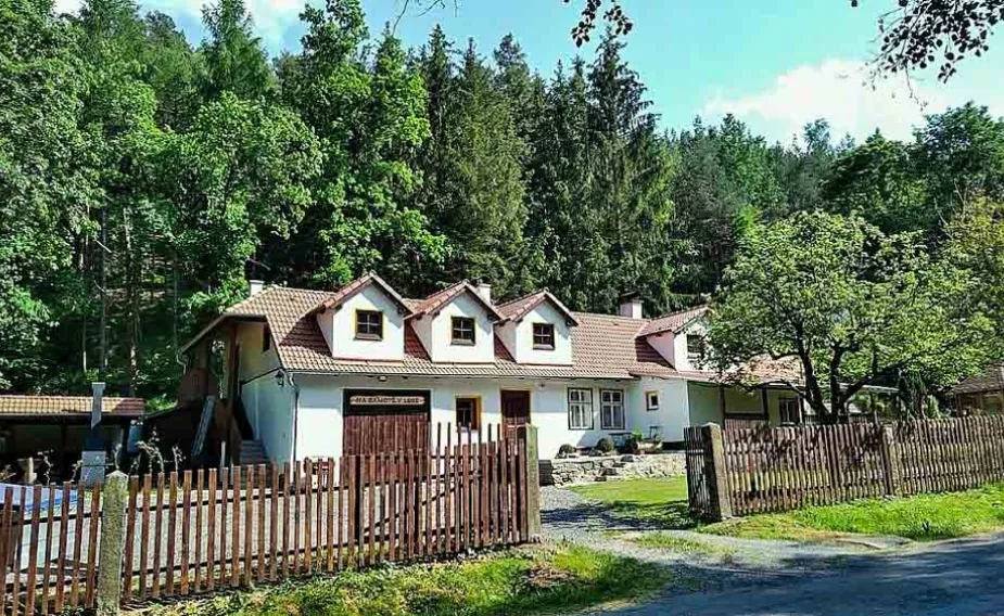 Na samotě v lese