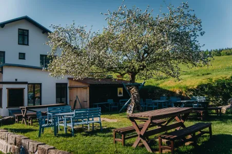 Strom roku 2020 "Jabloň u Lidmanů"