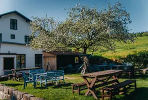 Strom roku 2020 "Jabloň u Lidmanů"