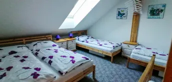 Apartmán fialový