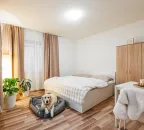 Apartmán - 101