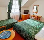 Dvoulůžkový pokoj - bez výhledu na řeku, s vanou a s výstupem na terasu s přistýlkou