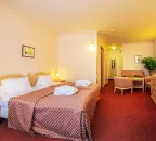 Dvoulůžkový pokoj - Deluxe