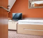 Jednolůžkový pokoj - zámecký, ZTP