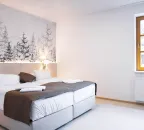 Apartmán Junior Suite (depandance)