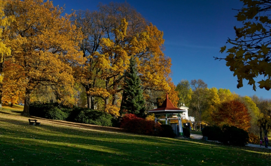 Čisté plíce, čistá mysl