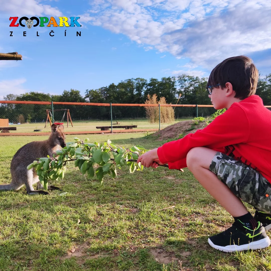 foto: Zoopark Zelčín