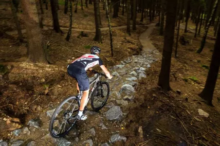 Singletracky Nové Město na Moravě