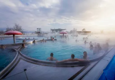 remus pool