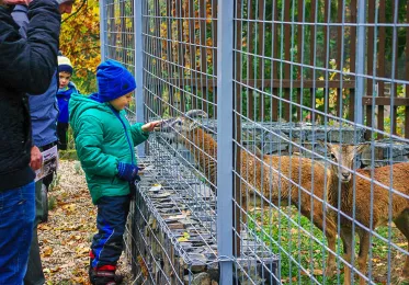 Zookoutek Divoká zahrada Hostivař