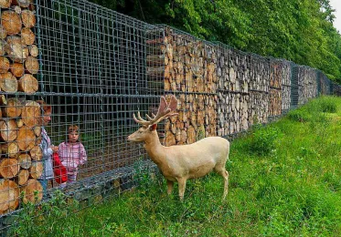 Zookoutek Divoká zahrada Hostivař