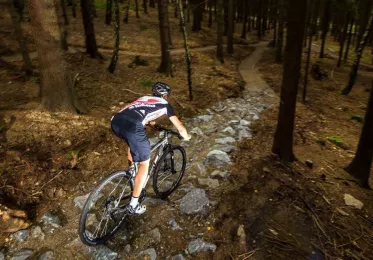 Singletracky Nové Město na Moravě