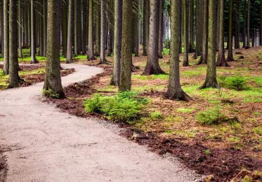 Singletracky Nové Město na Moravě