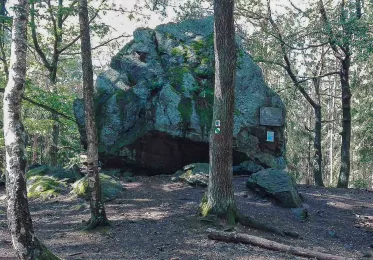 Ostrý kámen v Kokotském lese