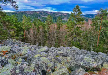 Brauchitzova (Třítrubecká) vyhlídka