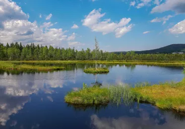 Chalupská slať