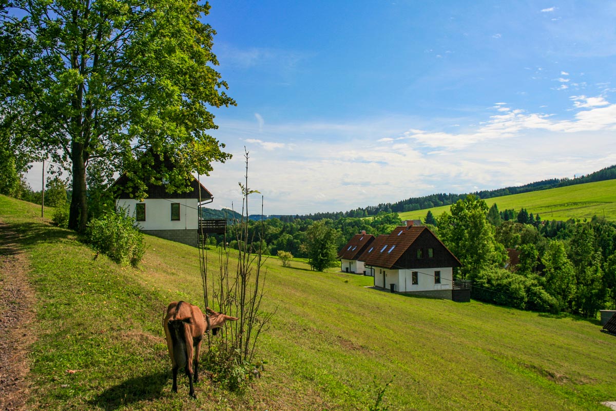 Green Valley park - StÃ¡rkov, KrÃ¡lovÃ©hradecko | Regiontourist.cz
