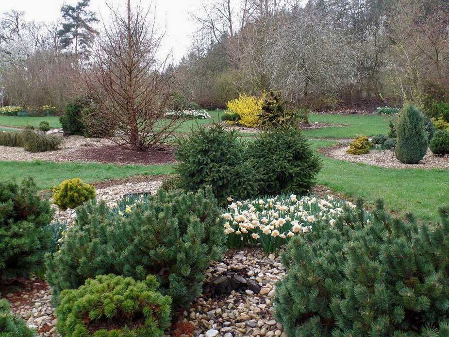 Foto: Arboretum Šmelcovna