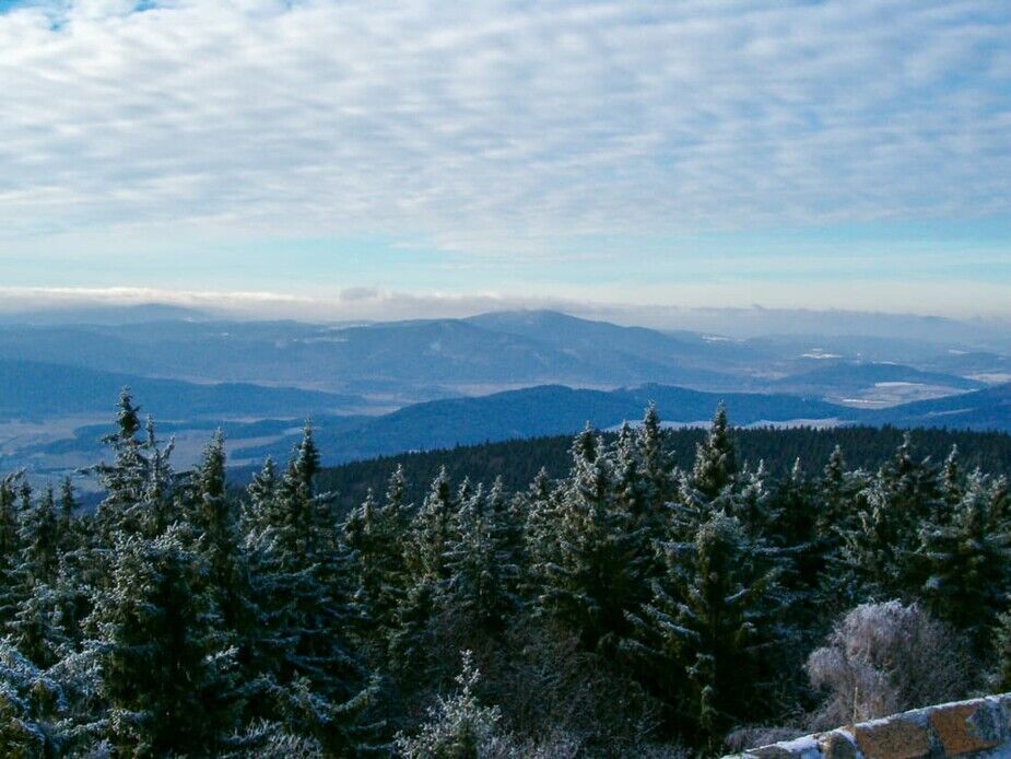 Foto: Výhled z nejvyššího vrcholu Blanského lesa