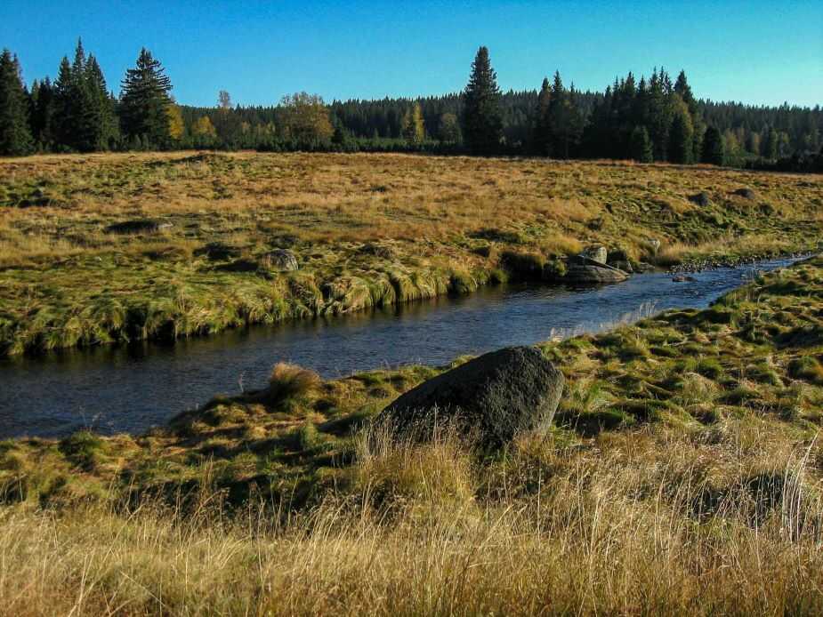 Modravské slatě (foto Vigor CC BY 2.0)