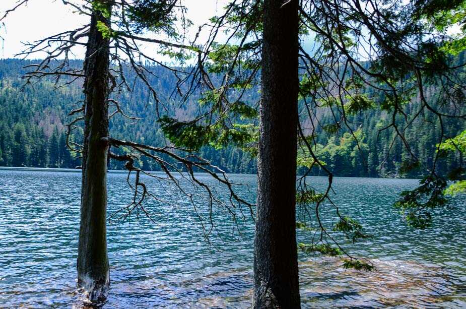 Pohled na Černé jezero 