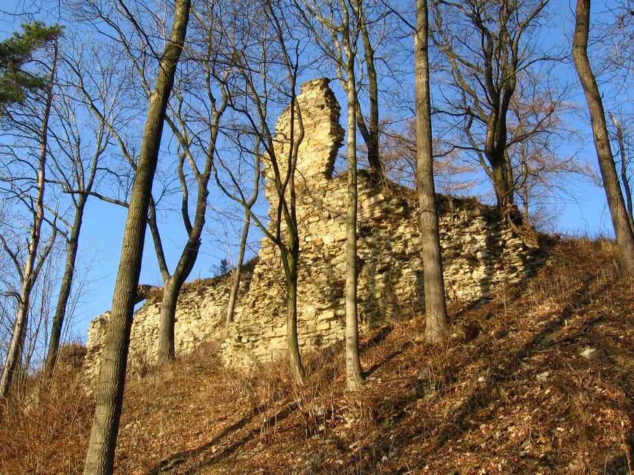Zřícenina hradu Brandýs (foto Sdružení pro záchranu hradu Brandýs nad Orlicí, o. s.)