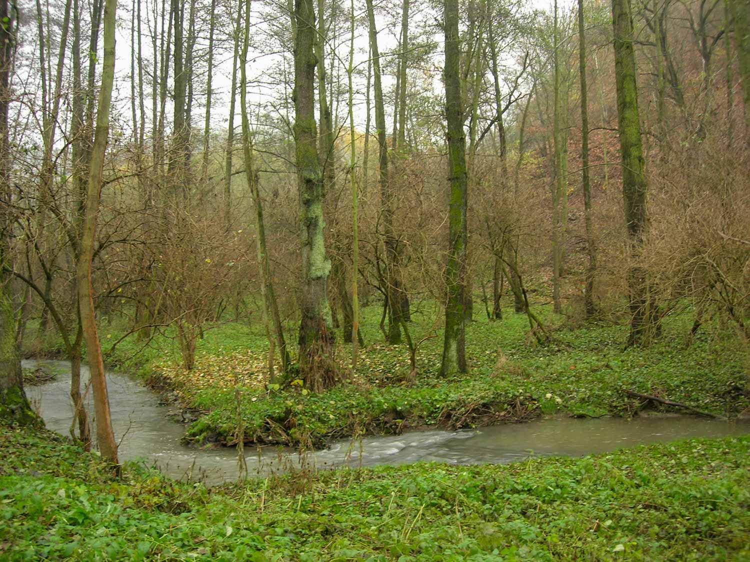 Foto: Údolí Únětického potoka