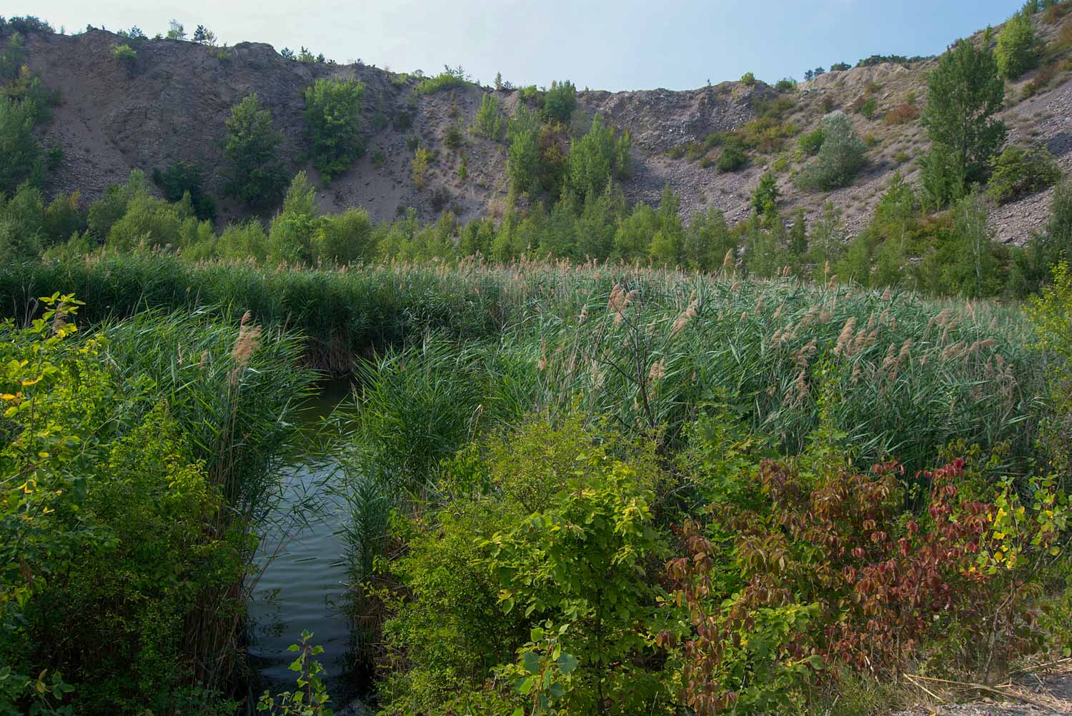 Foto: Hluboké jezírko v Růženině lomu