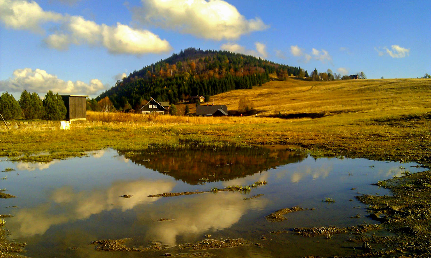 Foto: Bukovec na podzim