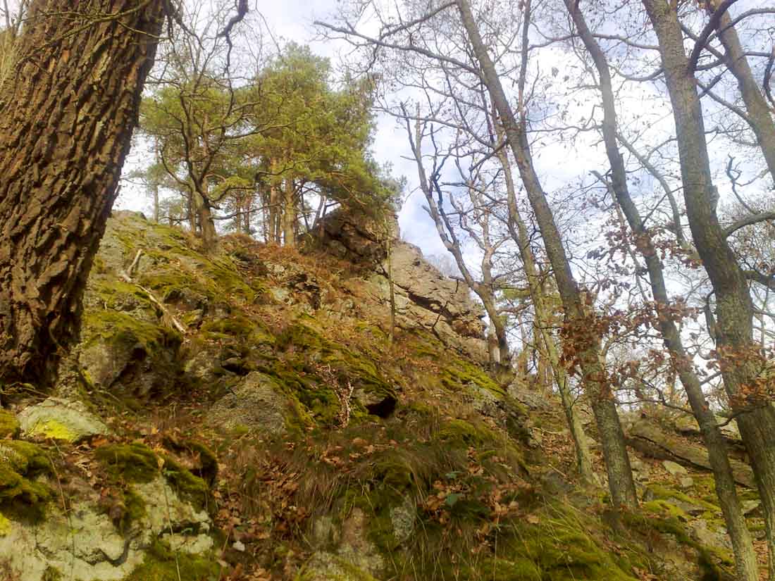 Foto: skalní rozsedliny