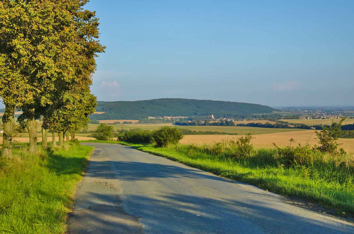Foto: Pohled na Velký Kosíř