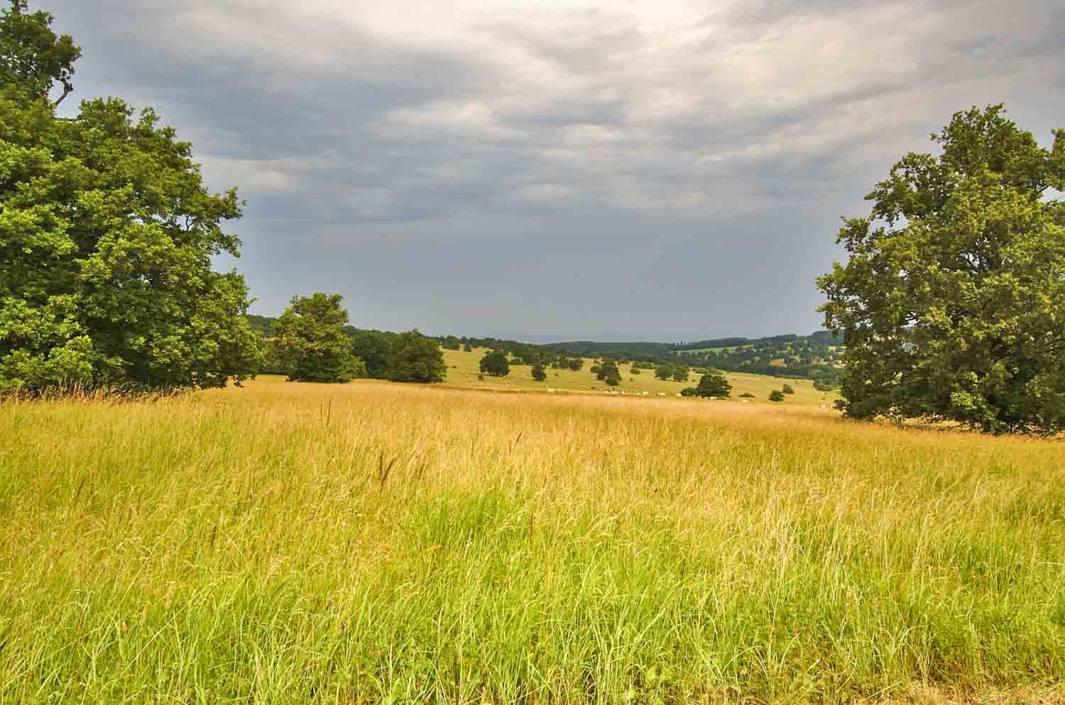 Foto: NPR Čertoryje